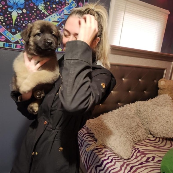 Meet your Posher, Jess - Picture 1 of 1